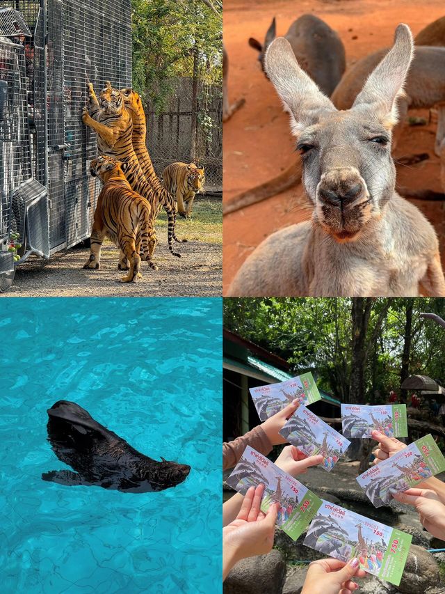 曼谷Safari World攻略