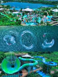 🌴廣州暑假遛娃必衝！森林海嬉水樂園「小孩免票」攻略🌊  
