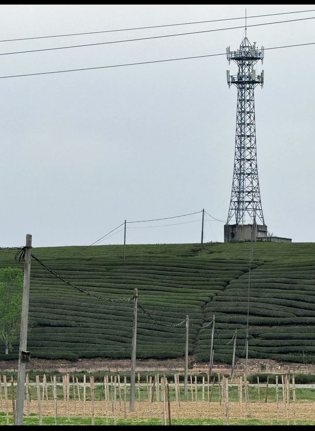 呢座隱世小城，放空行山好去處