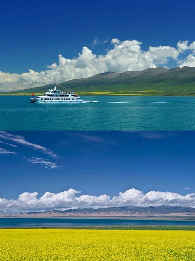 青海湖6月旅行全攻略 | 邂逅高原藍寶石與金黃花海