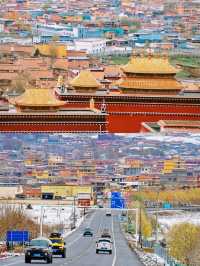 說走就走的理塘旅行景點、美食、避坑全指南