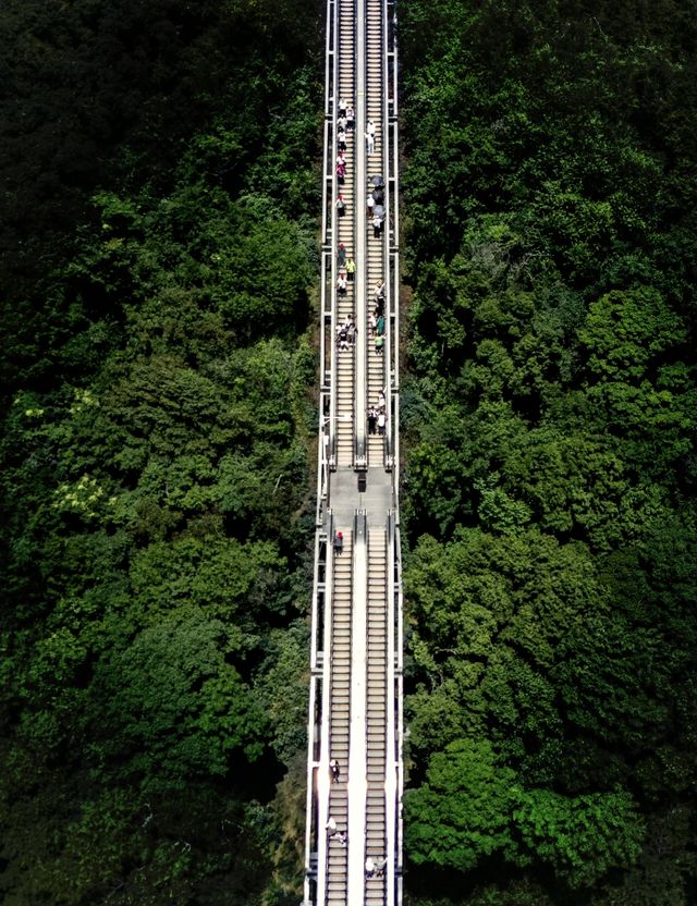 朝陽出發，龍頭山藏何景？