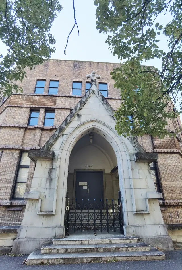 Winter Campus: Bare Trees and Disappearing Fallen Leaves