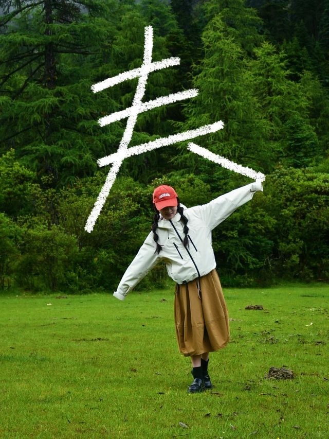 逃離城市計劃！雪山草原星空全包攬