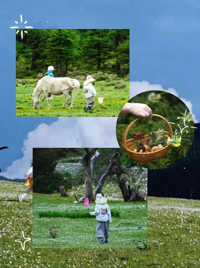 川西親子遊，帶娃不懼高山症嘅保姆級攻略