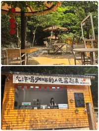 浙江小眾秘境！夏天20℃嘅「地下仙境」畀我搵到啦