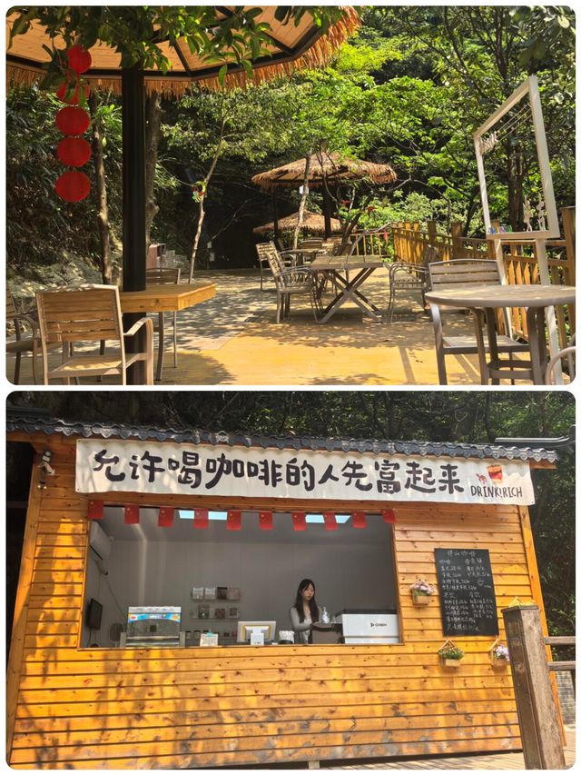 浙江小眾秘境！夏天20℃嘅「地下仙境」畀我搵到啦