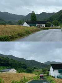 上海高鐵2小時直達！寧波東錢湖環湖路線全攻略來啦～