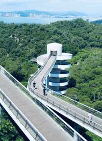山海健康步道：漫步雲端，穿越山海