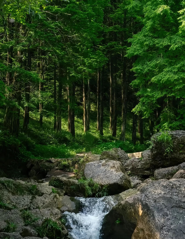 成都1.5小時直達！藏喺深山嘅綠野仙蹤秘境