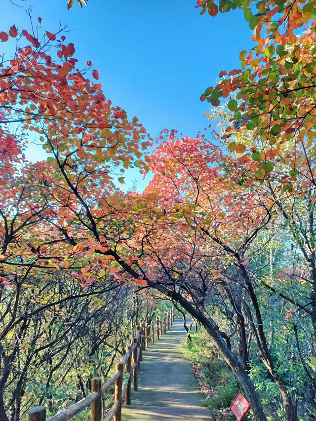 河南汝州九峰山景區超全旅遊攻略來啦！