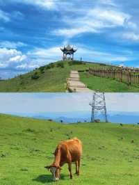 六盤水 | 避暑天堂，夏季旅遊嘅不二之選！