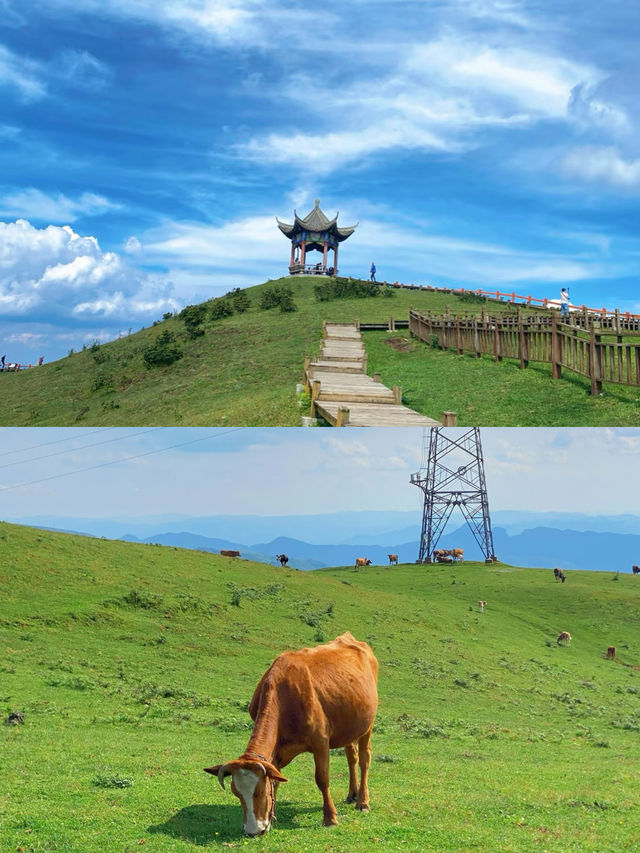 六盤水 | 避暑天堂，夏季旅遊嘅不二之選！