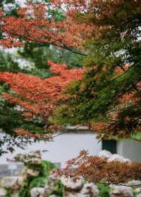 北海公園內的精緻好去處——靜心齋