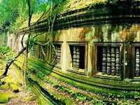 Cambodia's Forgotten Kingdom: Exploring the Jungle-Clad Ruins Beyond Angkor