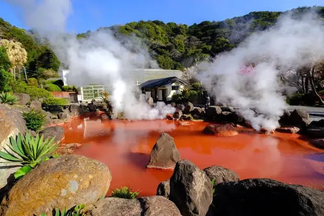 Oita Summer Hidden Gems: A Romantic Symphony of Hot Springs and Sea