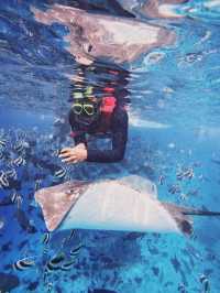 🌊 Snorkeling in Paradise: A Maldives Dream Come True! 🤿✨