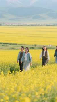 - 「逃離熱浪！門源15℃嘅夏天，藏住西北最驚艷嘅金色童話」