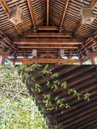 南通普賢寺，千年古剎的禪意悠長