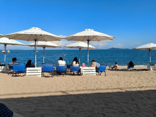 椰林海景絕美視角