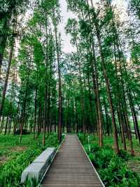 夏日秘境 | 上海浦東秀南公園