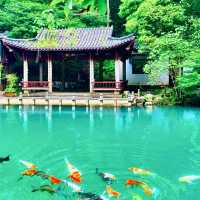 建德—山水美景治癒此景只應天上有