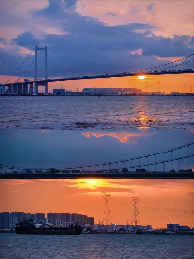 廣州海鷗島單車遊指南