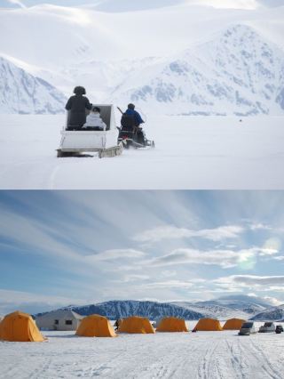 Only 5 spots left worldwide: Join the Inuit to see polar bears and narwhals.