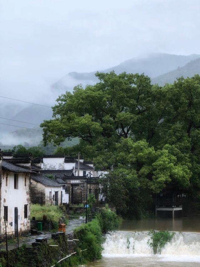 喺婺源，搵返細個嗰個夏天