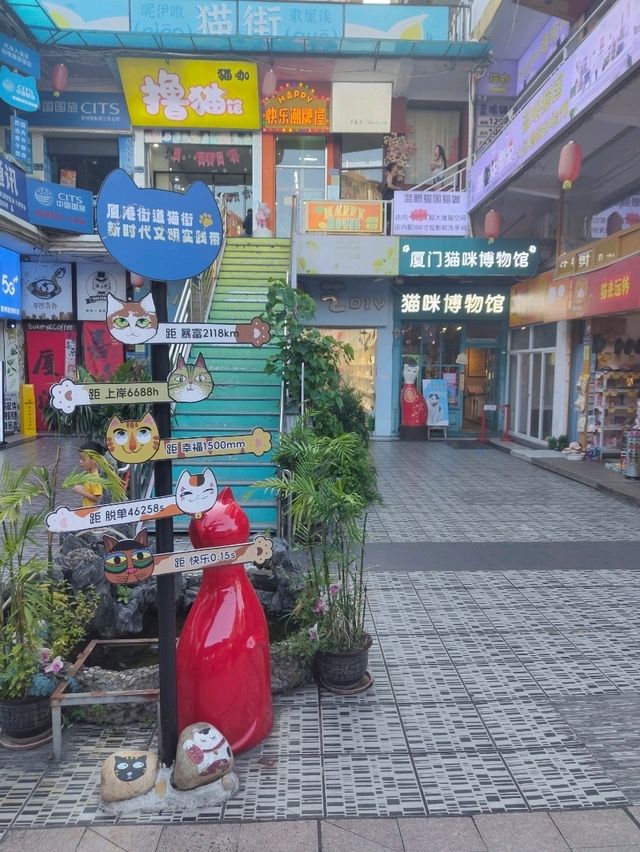 Xiamen Journey #xiamen #china