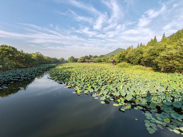 江南秘境，人少景美