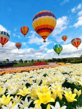 National Day Travel Plan｜Mile Taiping Lake, Worth a Special Trip