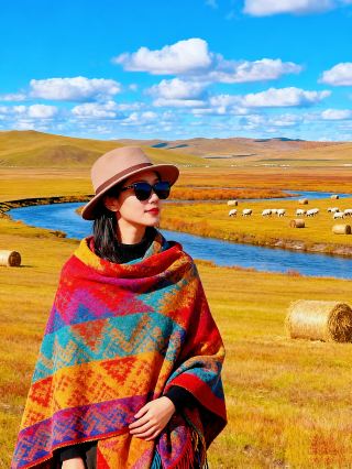 Hướng dẫn vẽ tranh sơn dầu Autumn Dye Hulunbuir + Arshan September Limited