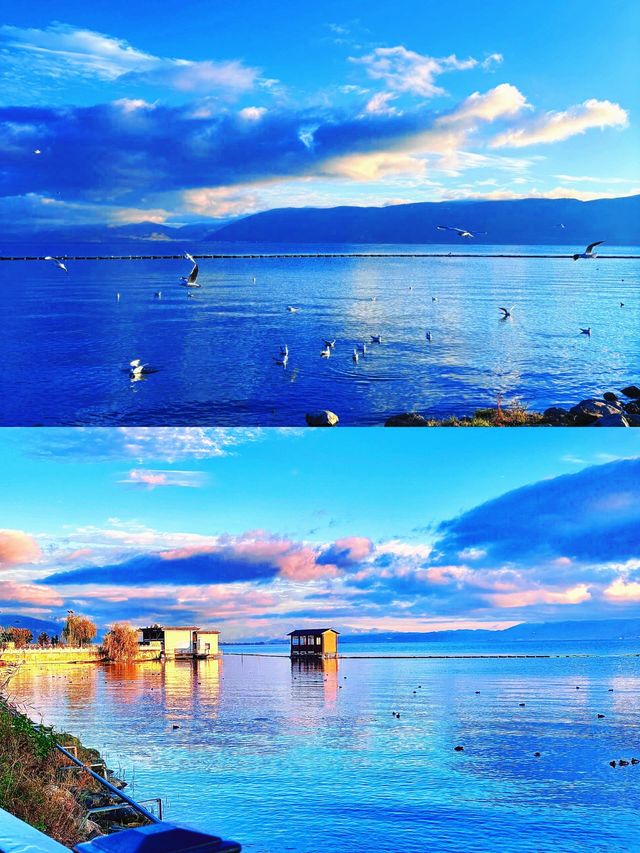 洱海3天2晚慢遊攻略紅杉海鷗懸崖日落一次看夠！