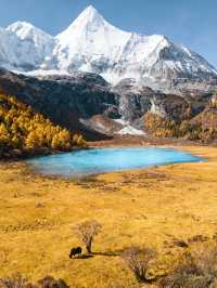 層林染墨，山河入畫｜2025中式秋日追秋全攻略