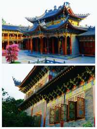 深圳這個三角梅盛開的海邊古寺，意境太美！