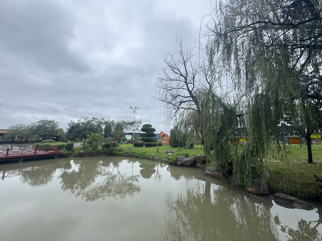 抓住鬱金香最後的綻放期！武漢秋日花海浪漫打卡指南