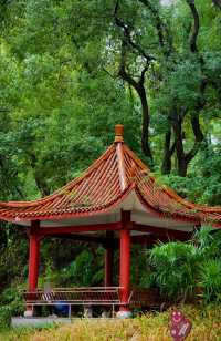 雨中秋色漫長沙，邂逅烈士公園的治癒系浪漫