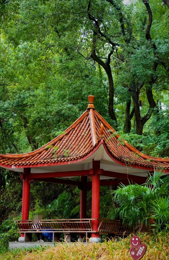 雨中秋色漫長沙，邂逅烈士公園的治癒系浪漫