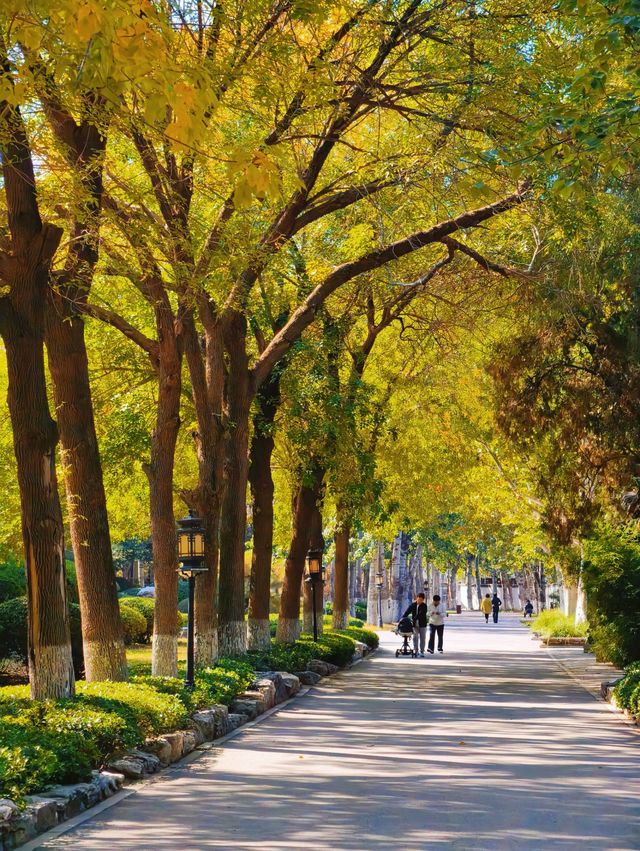 探秘北寧公園一步一景的秋日風情
