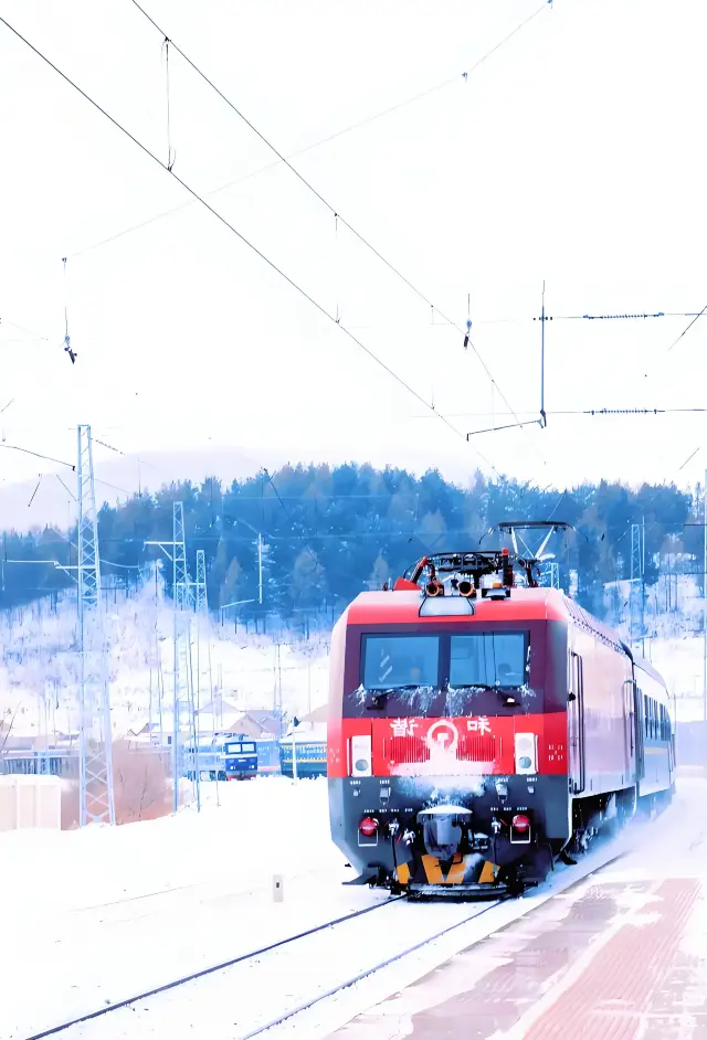 「悠享龙江・雪国号」テーマ列車初運行