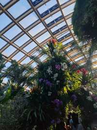 太原植物園遛娃攻略網紅大扶梯+猴面包樹