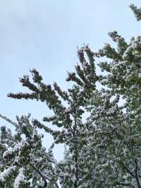 初雪降臨東鄉族自治縣｜在鎖南壩遇見最純淨的雪景