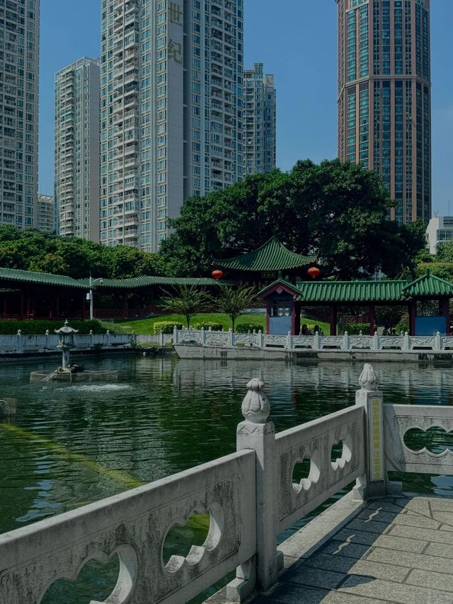 深圳人必衝！99%不知道的寶藏錦鯉園林