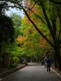 秋日必打卡昆明植物園