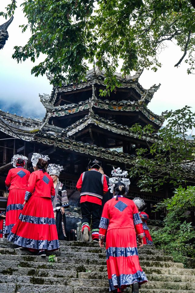 藏在湘西南的「古樹王國」，竟藏著土樓歷史蹤影！