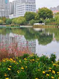 武漢菱角湖 0 元拍秋！地鐵直達+湖心木棧道1 秒出片