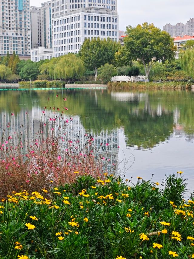 武漢菱角湖 0 元拍秋！地鐵直達+湖心木棧道1 秒出片