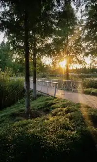 10.17上海小眾粉黛公園沒想到這麼美!!