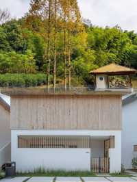 寧波森林民宿,遛娃好去處